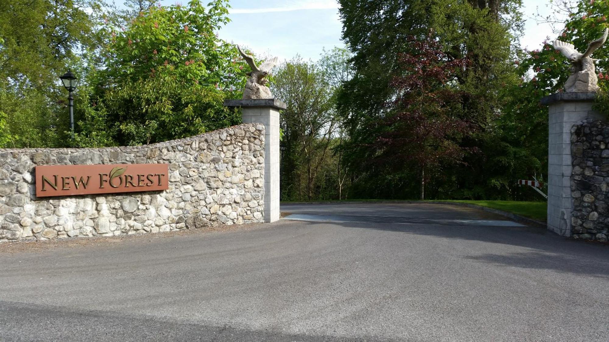 New Forest Estate Lodges Tyrrellspass Ngoại thất bức ảnh